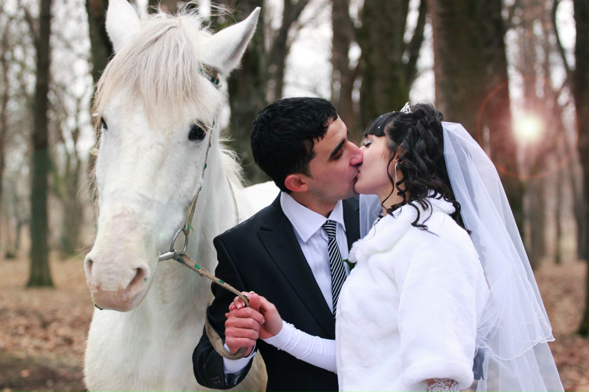 Сюзанна Джамалян | Краснодар