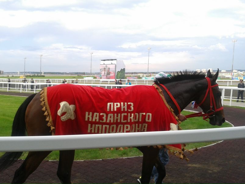 №104, Сергей Магданов, 41 год, Казань №104, Сергей Магданов, 41 год, Казань