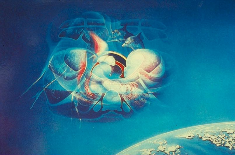 Дмитрий Сиренин | Одесса