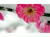 Жанна Харитонова | Малая Вишера