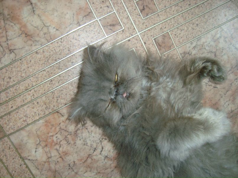 Оксана Окунёва Анатольевна | Уфа