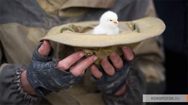 Юлия Пиксина | Москва