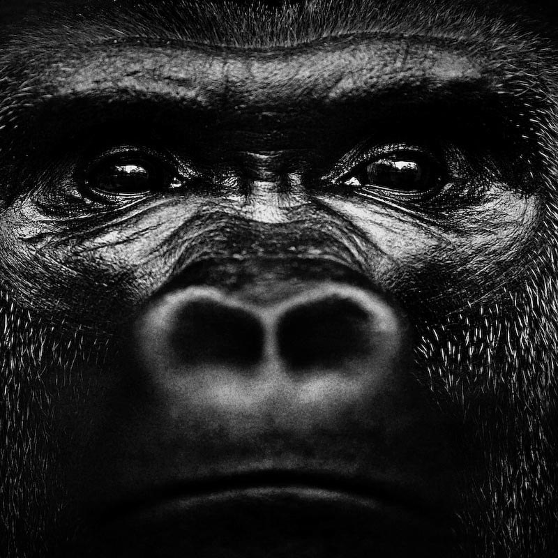 Юлия Фомина | Саранск