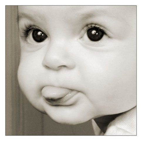 Алексей Кононов | Запорожье