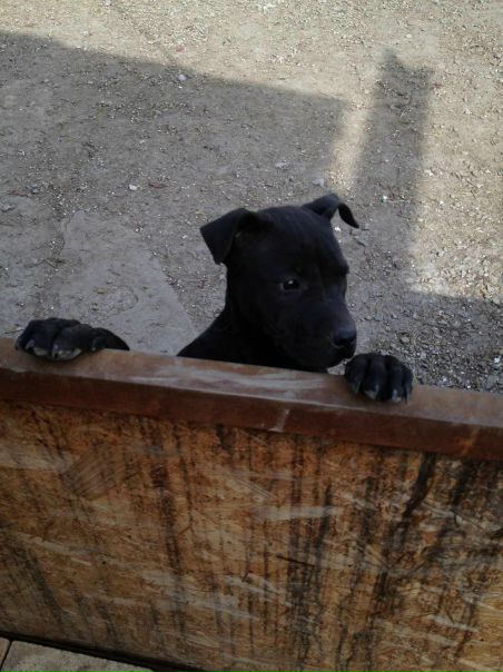 №5, Алина Пиялкина, 8.12.1982, Алматы №5, Алина Пиялкина, 8.12.1982, Алматы