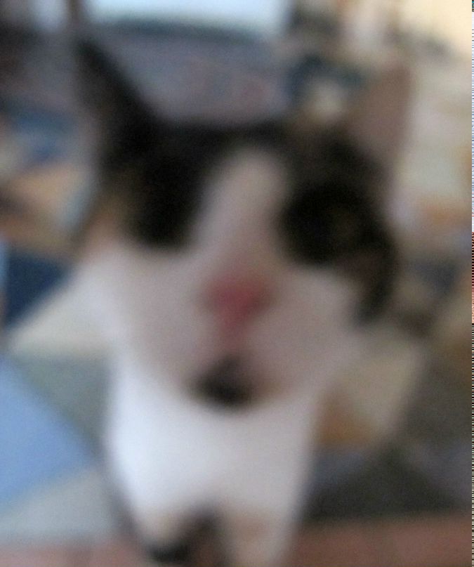 Арктик Семён | 