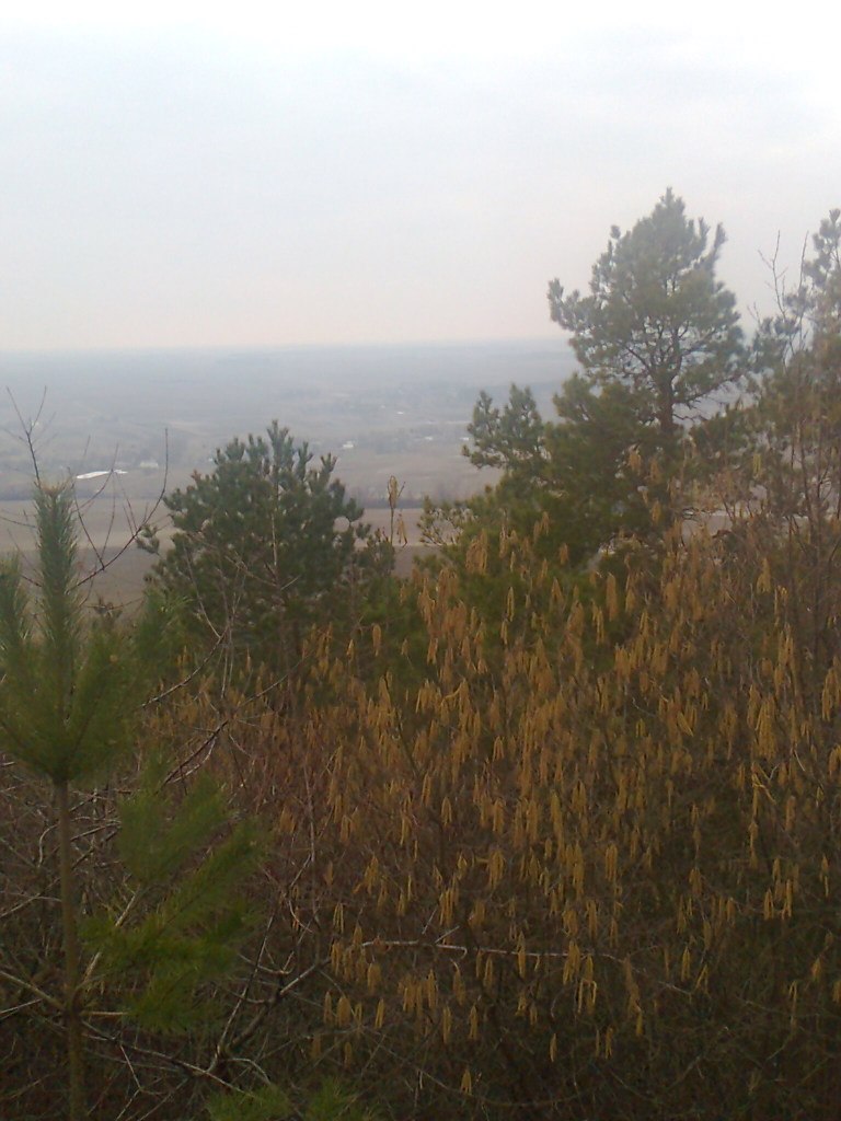 Марія Шевчук Василівна | Кременец