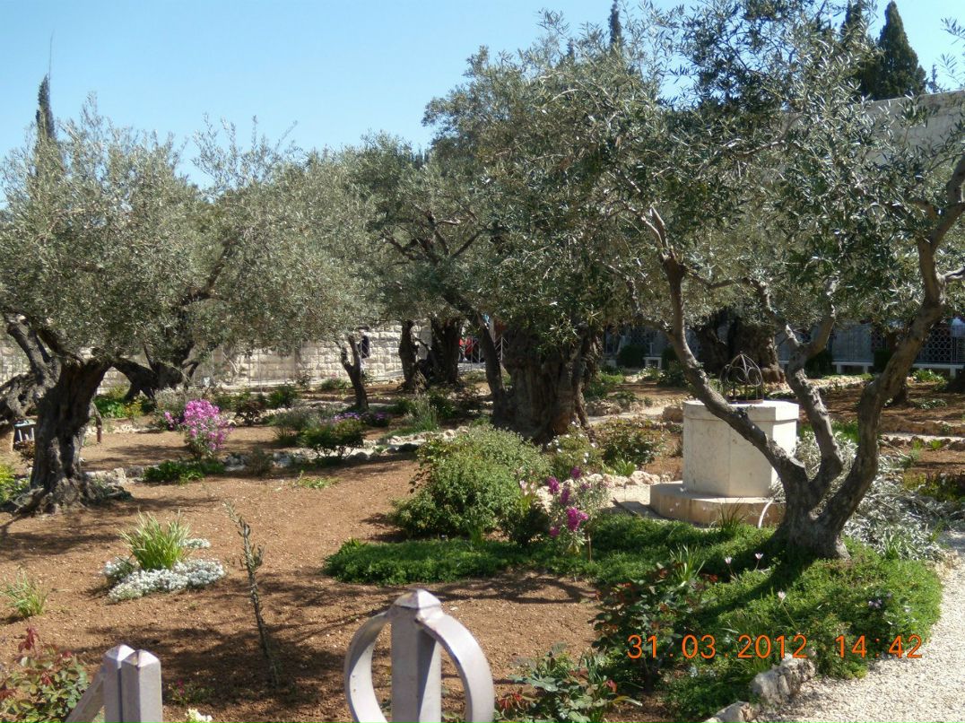 Евгений Лемешонок | Новокузнецк