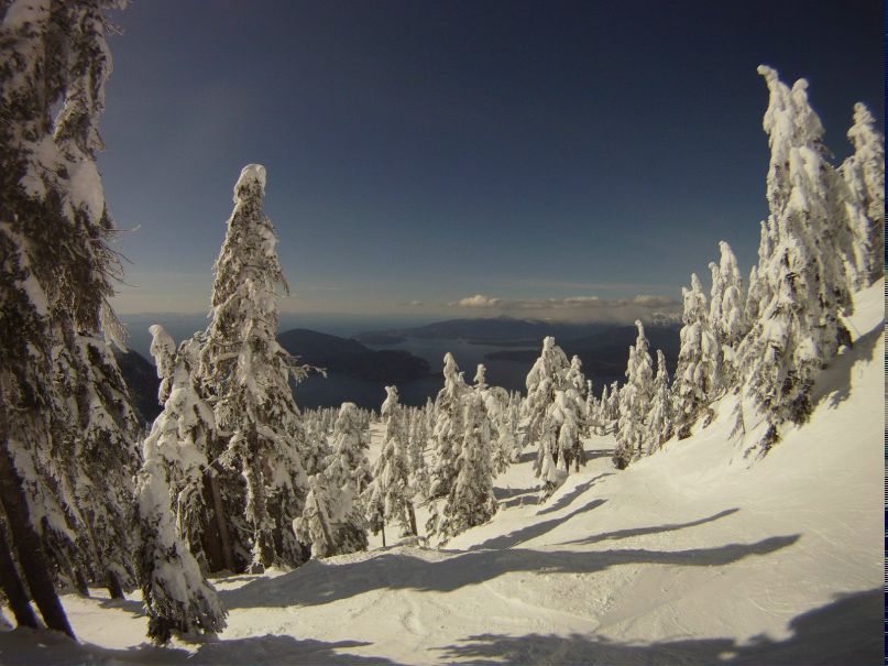 Иван Фёдоров | Vancouver