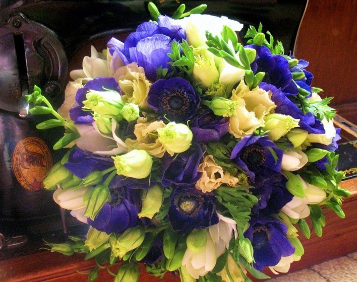 Наталья Павлоцкая | Санкт-Петербург