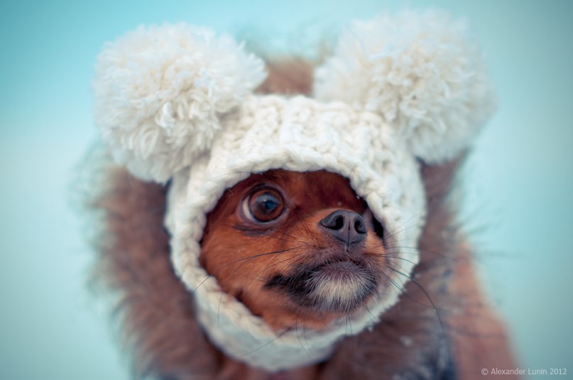 Катя Хэллиш | Рязань