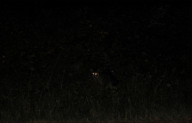 Наталья Тайгина ❄ | Железногорск