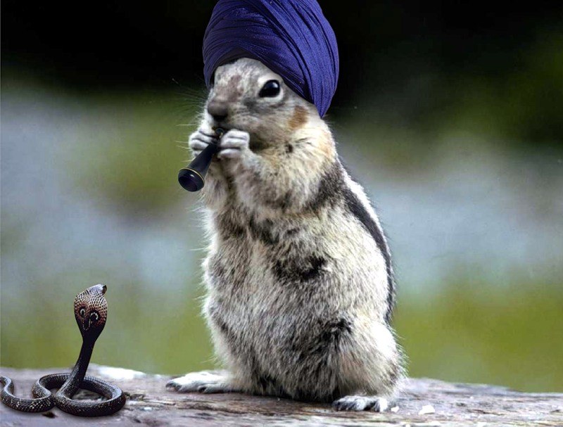 Максим Фесенко | Константиновка