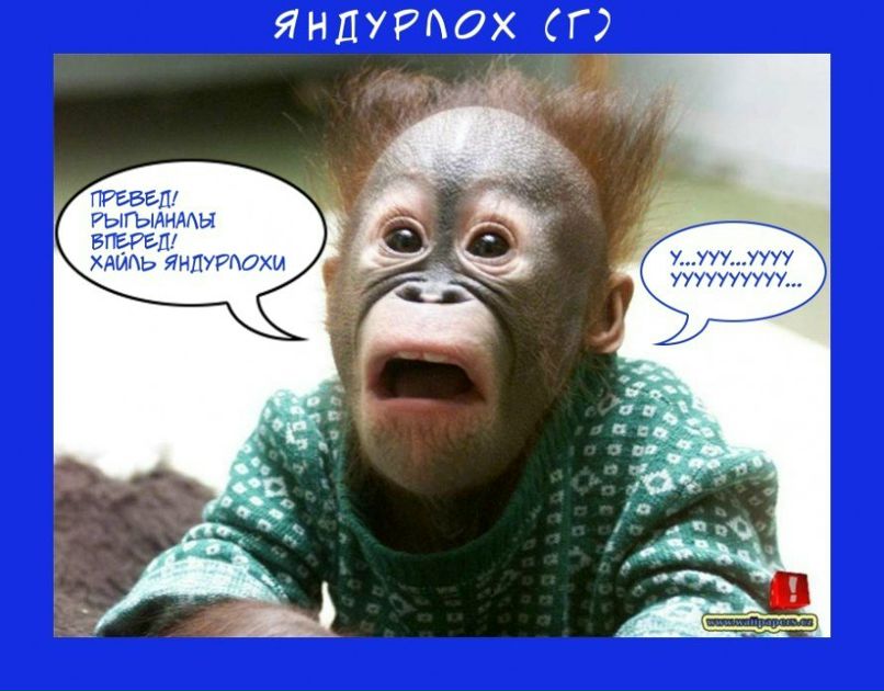 Евгений Комиссаров | Новосибирск