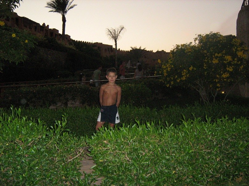 Адель Закиров Ринатович | Казань