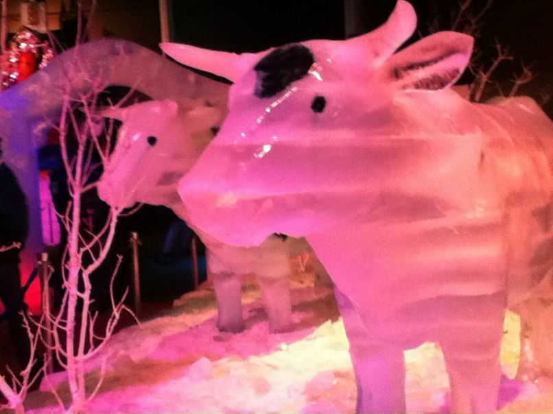 Мальвина Дронова | Нижний Тагил