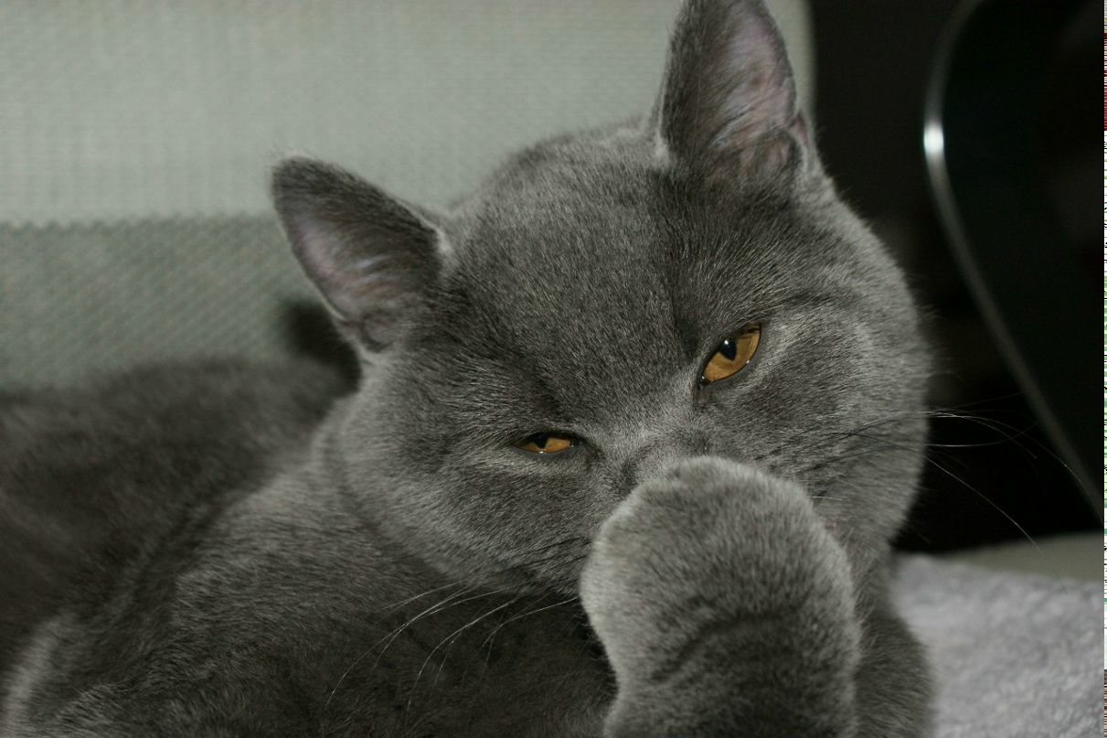 Женни Калинкина | Калининград