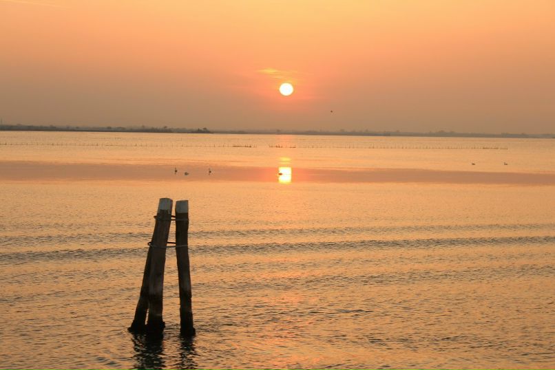 Дмитрий Трушков | Запорожье