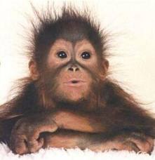 Мария Лазарева | Санкт-Петербург