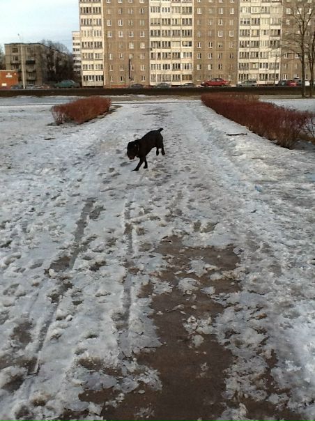 №11, Юрии Петров, 52 года, Санкт-Петербург №11, Юрии Петров, 52 года, Санкт-Петербург