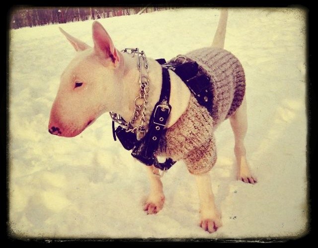 Виктор Казарин | 