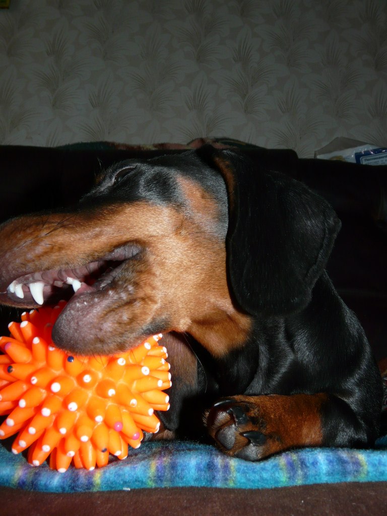 Игорь Гук Викторович | Киев