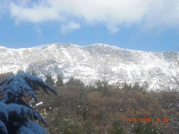 №93, Диана Иванова №93, Диана Иванова