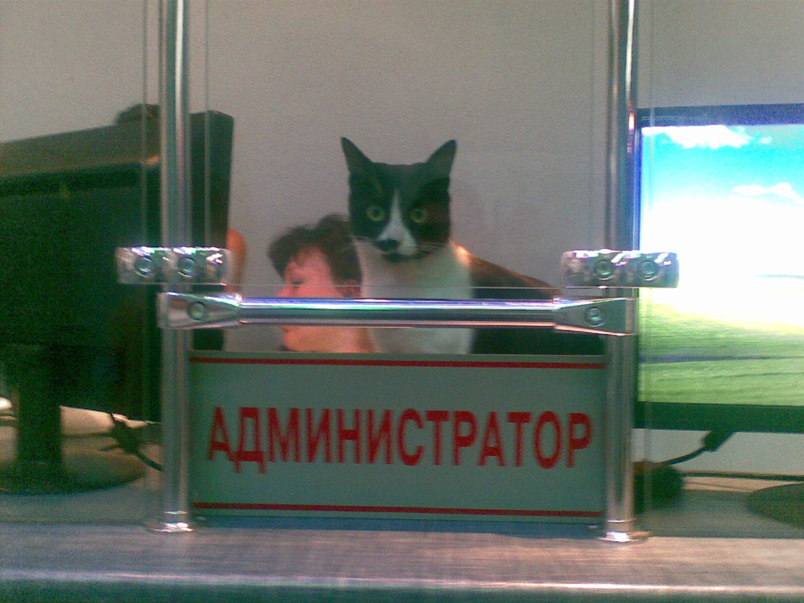 Фото профиля