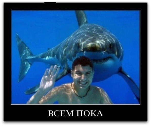 Рома Алиев | Махачкала