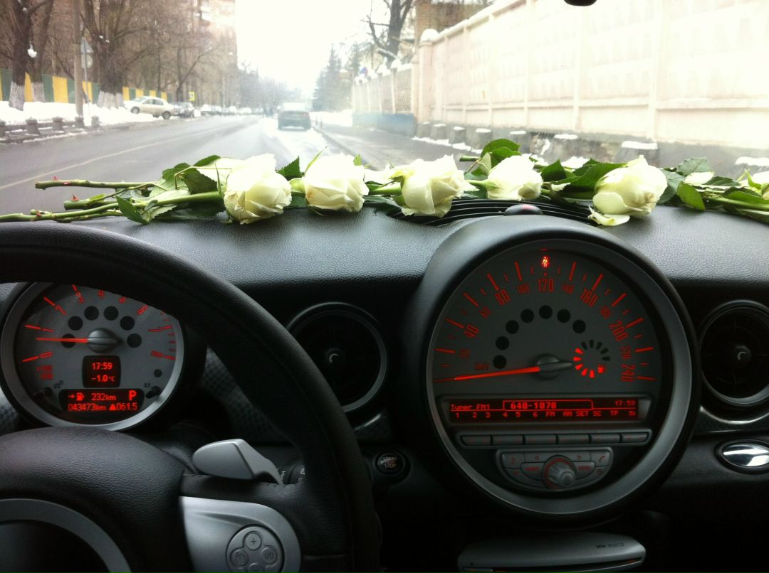 Юлия Стук | Москва