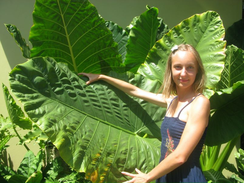 №7, Мира Яковлева, Санкт-Петербург №7, Мира Яковлева, Санкт-Петербург