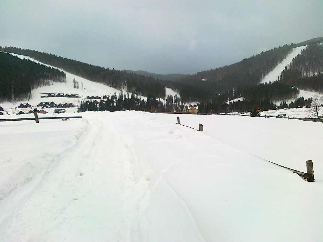 Саша Сиводед Паааанда** | Брест