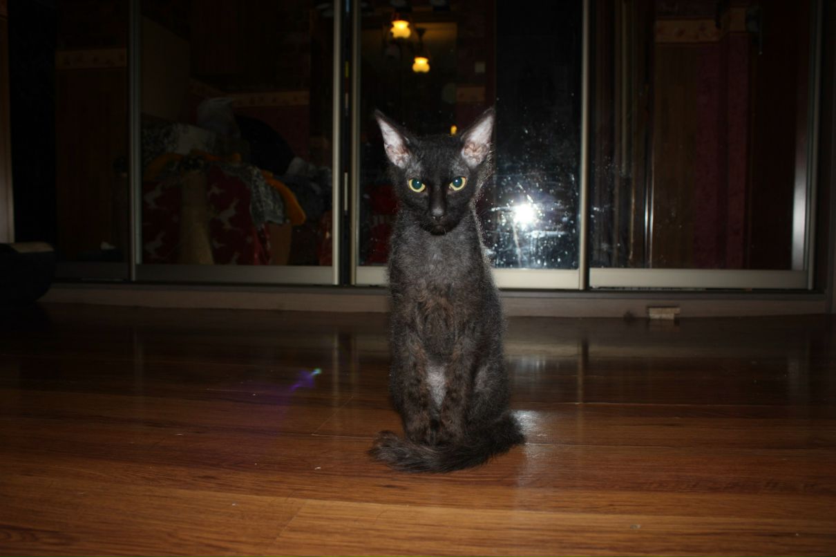 Татьяна Фатеева | Москва