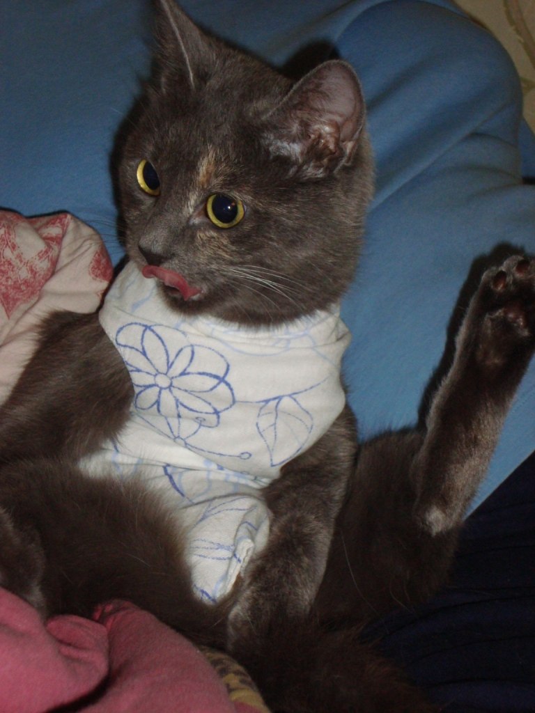 Елена Кельнер | Хабаровск