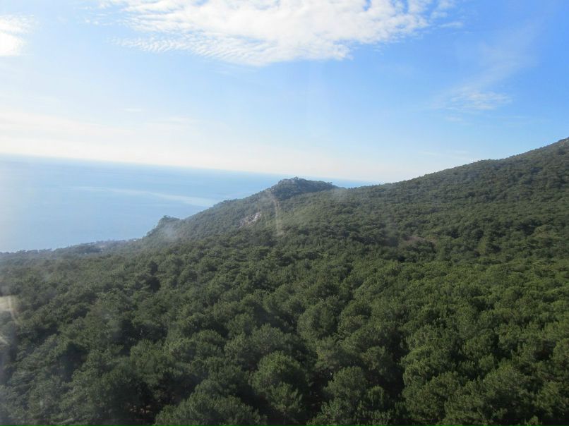 Виктория Карпова | 