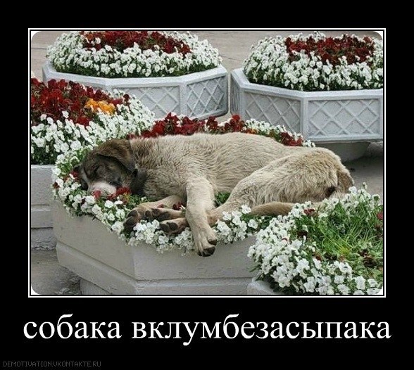 Юля Капелюшок | Киев