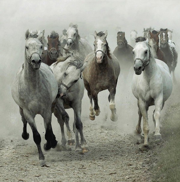 Рената Лимонадный-День | Екатеринбург