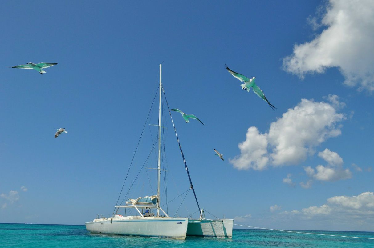 Олег Пацкан | Pattaya