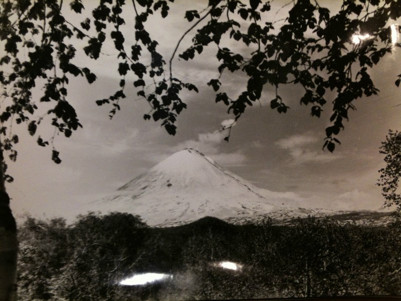 Happy Love *Joy* | Харьков