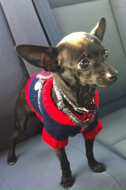 №58, Сергей Румянцев, 44 года, Newington №58, Сергей Румянцев, 44 года, Newington