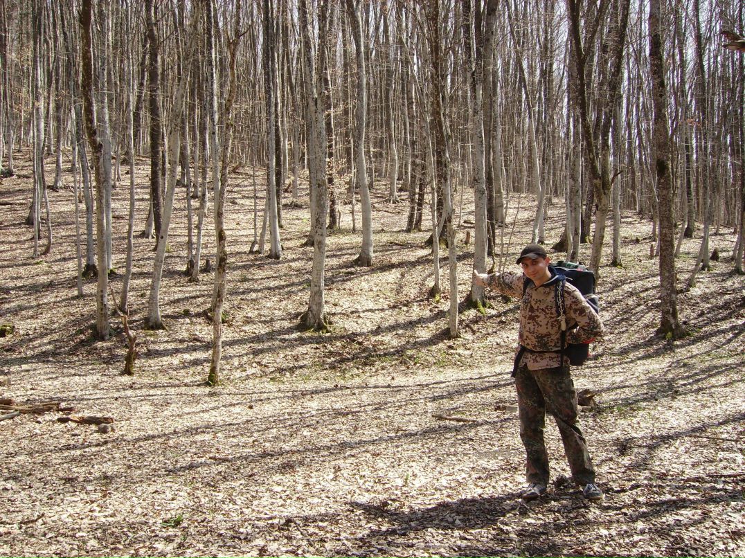 Александр Покидин San4eZpav.pdj.ru | 