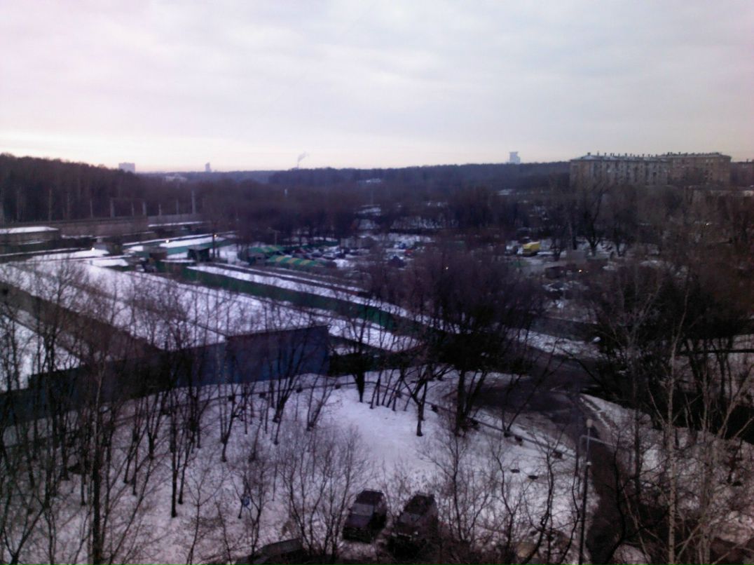 Alex Bird | Москва