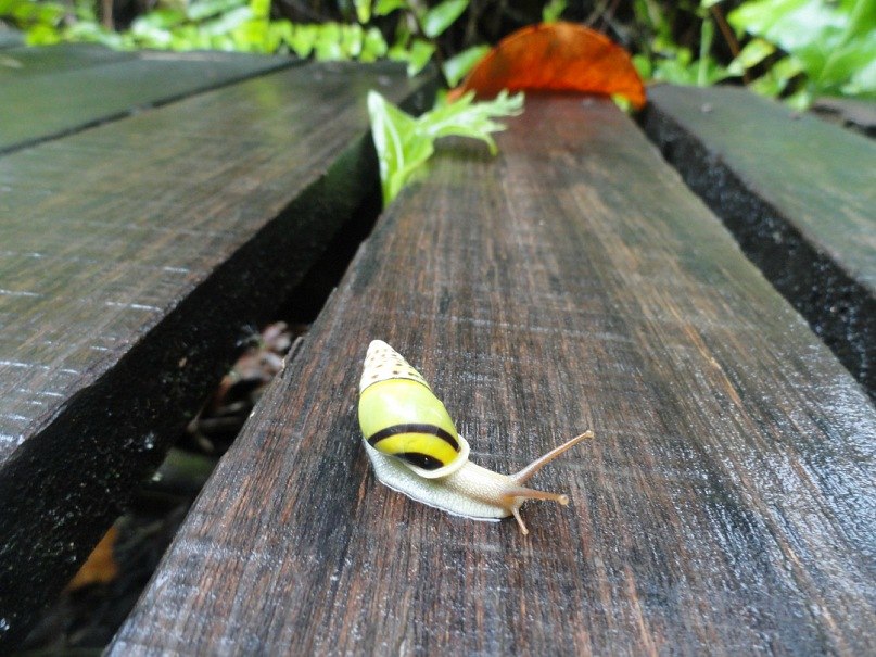 Ольга Войтович (Хоботова) | Хабаровск