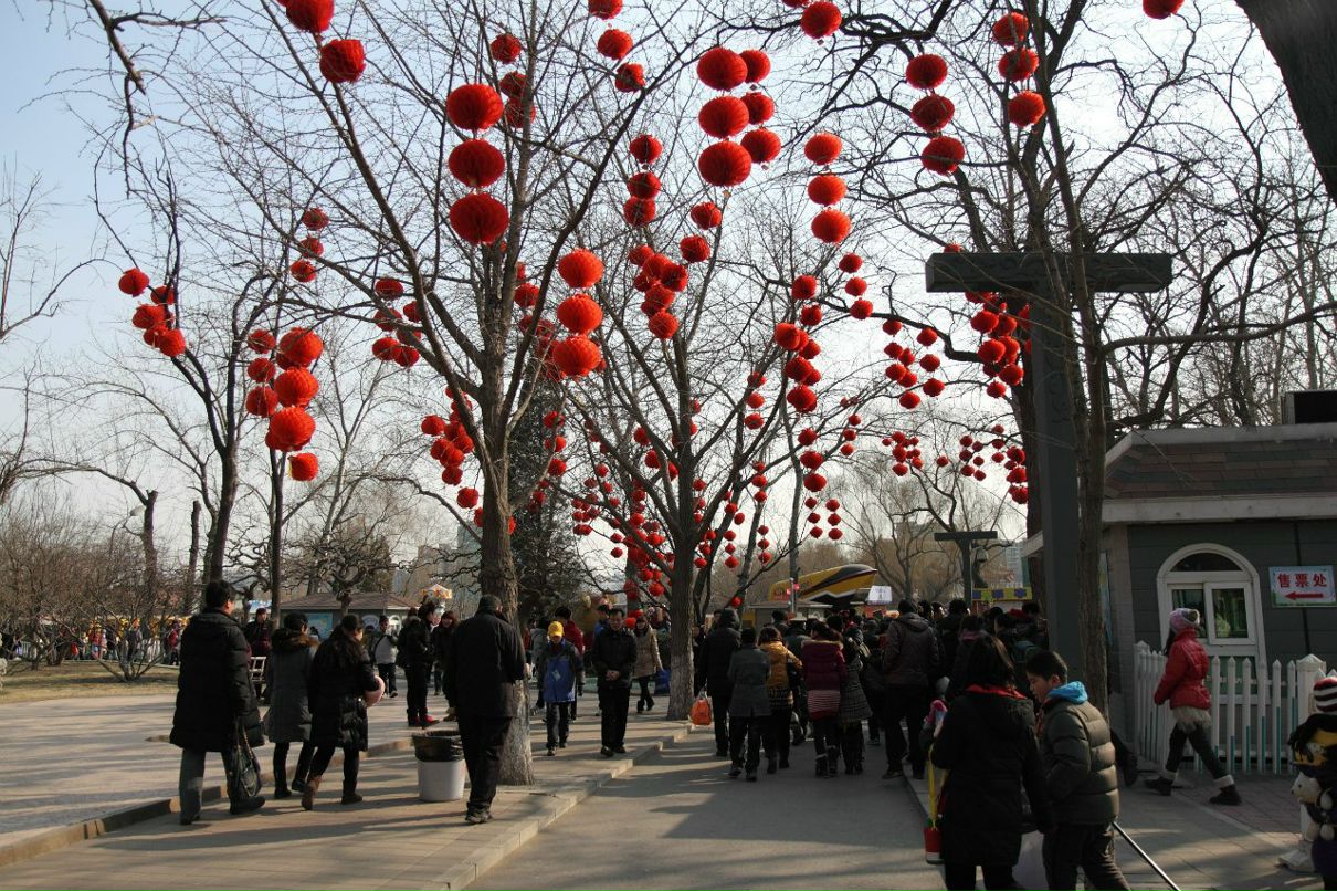 Елена Рогова | Москва