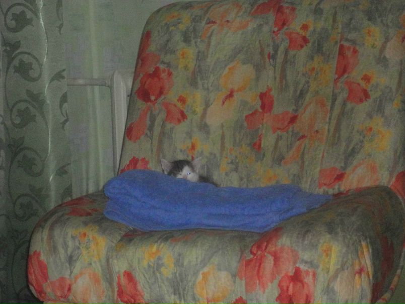 №154, Светлана Агафонова, 35 лет, Тула №154, Светлана Агафонова, 35 лет, Тула