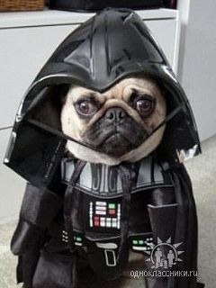 Александр Николаев kapone | Великий Новгород