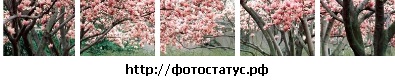 №119, Ирина Милютина №119, Ирина Милютина