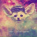 №10 Нелли Куршубадзе 10.08: профиль, фото, статус - ВКонтакте