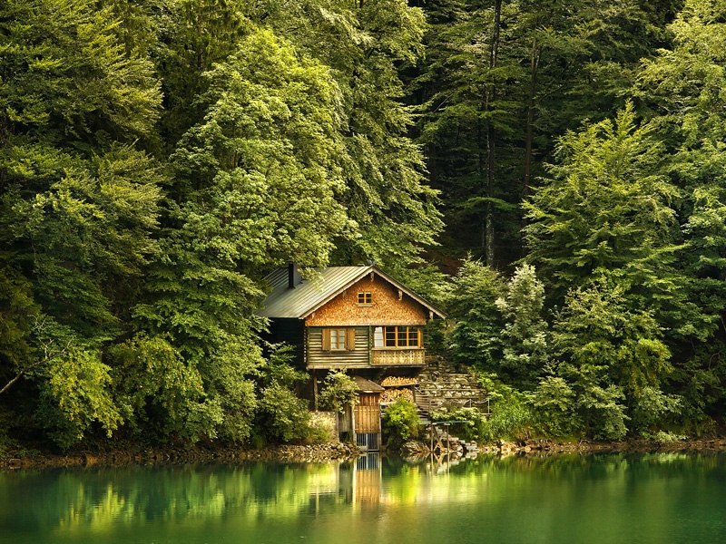 Алёна Алексеева | Москва