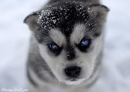 Юля Марьянова | Хмельницкий